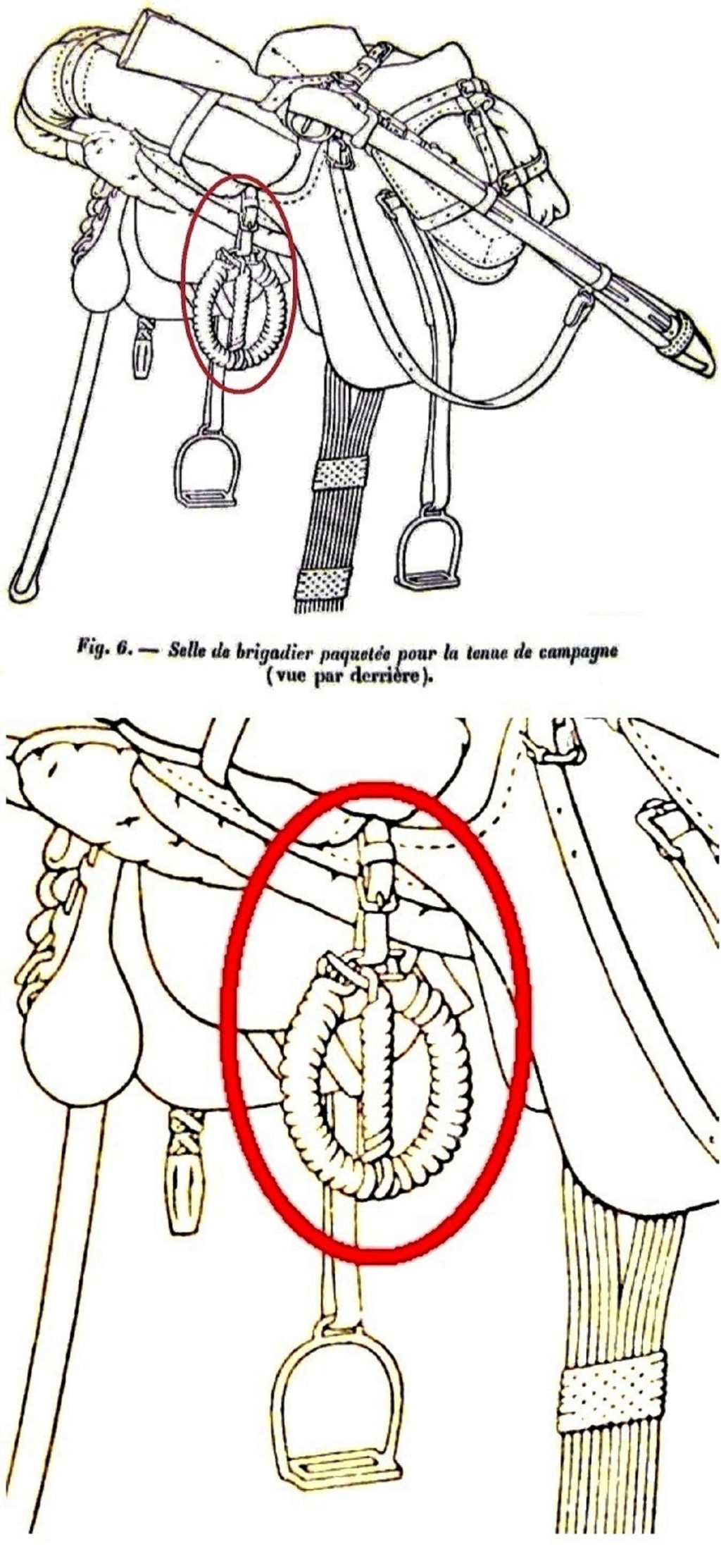 Les entraves/moyens d'attache des chevaux au bivouac  Anneau12