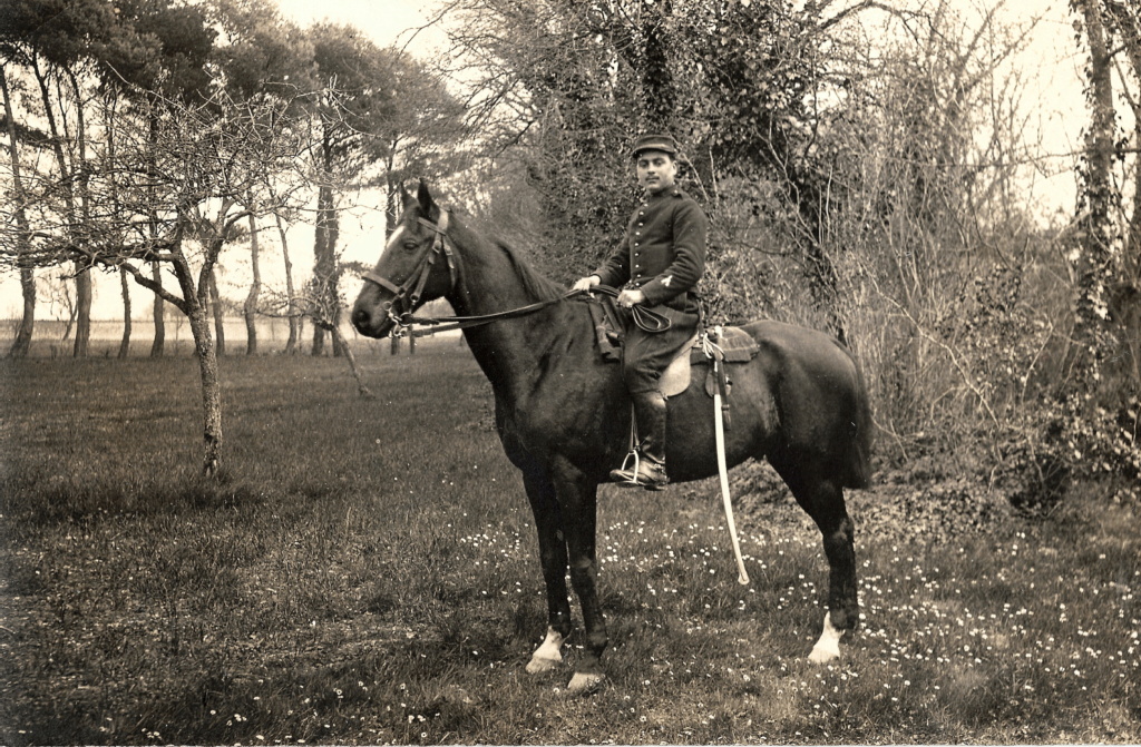 Les harnachements étrangers utilisés par l'Armée française en 1914/1918 Artill20