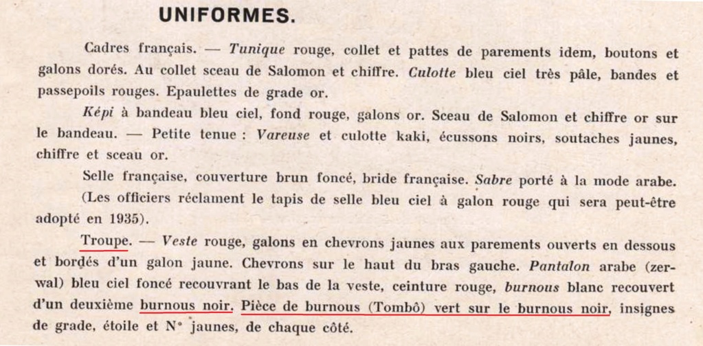 Dossier général : les spahis  - Page 2 Burnou11