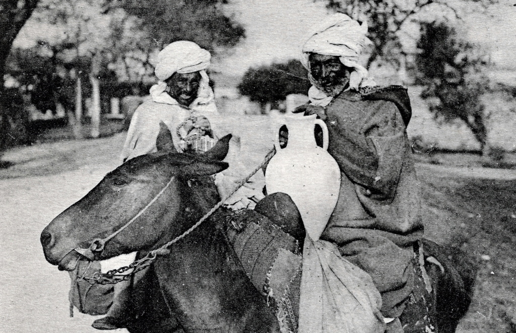 Les mors arabes à anneau-gourmette  Cavali39