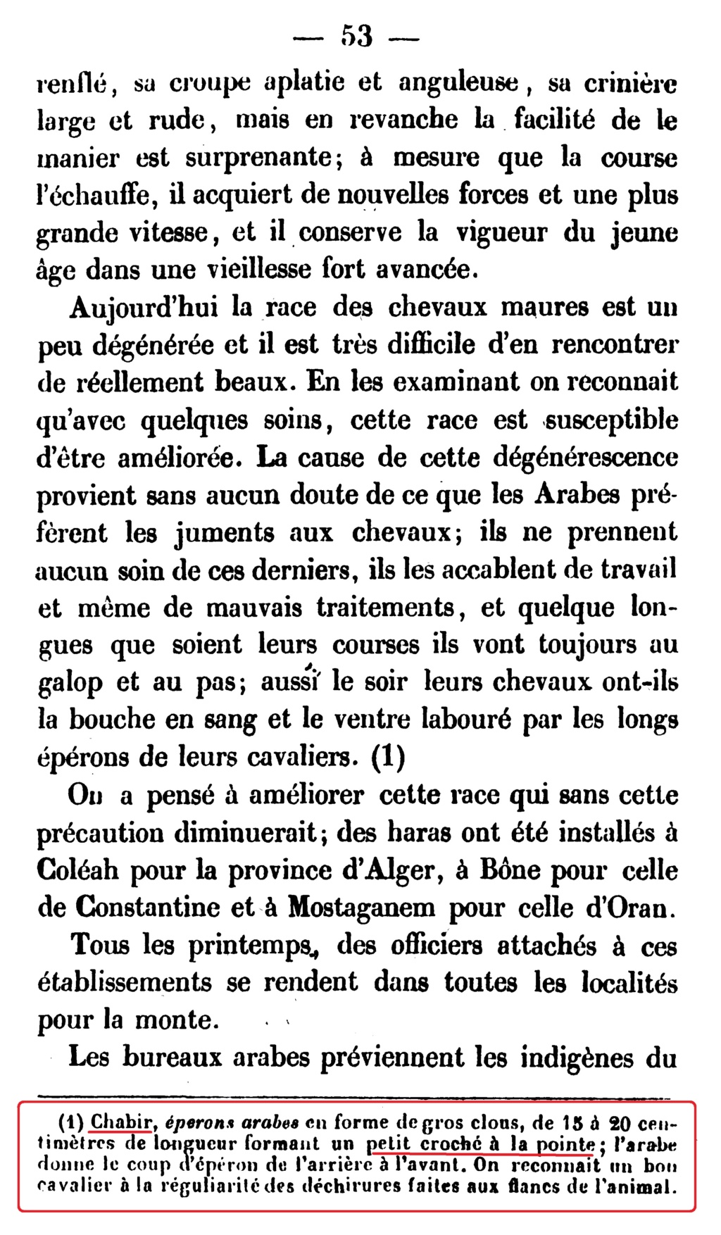 Dossier général : les spahis  - Page 10 Coup_d11