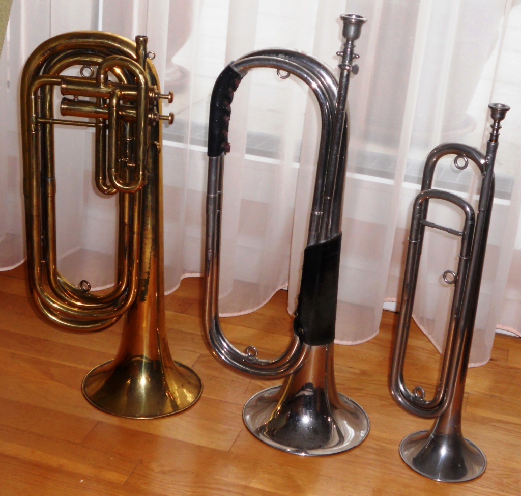 Les instruments de musique : caisses - tambours - clairons - trompettes - Page 3 Dscn0315