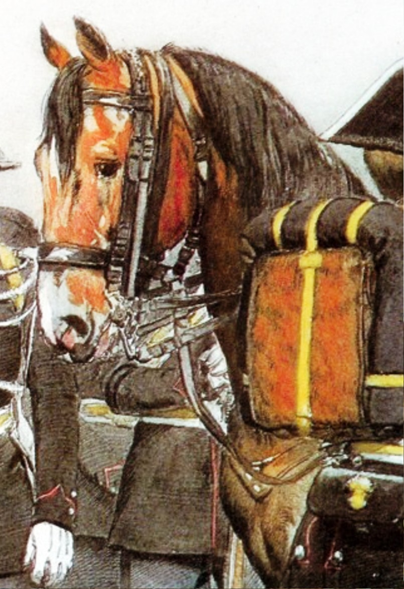Etude d'une selle d'officier de cavalerie légère  Gendar10