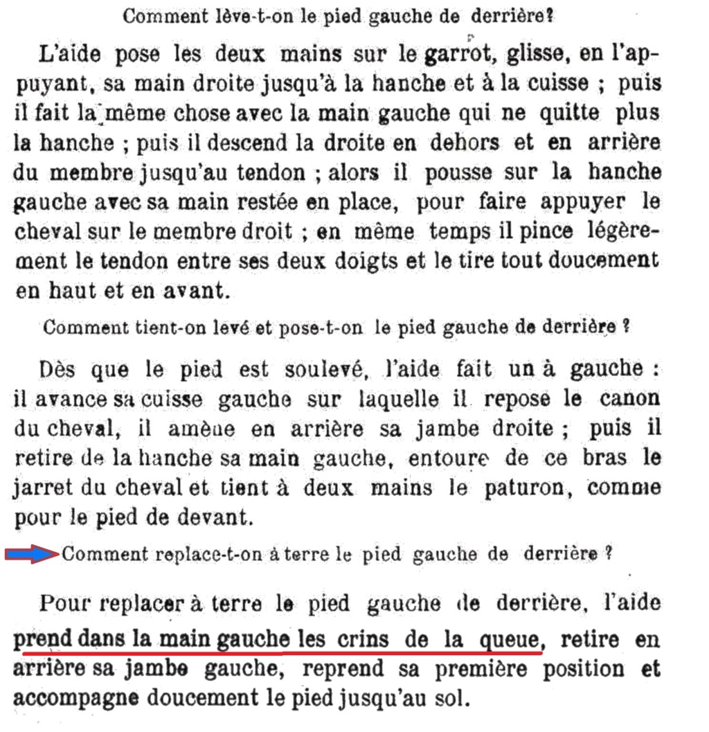 Sacoches et outils des maréchaux ferrants de l'armée (Cavalerie et artillerie)  - Page 2 Guide_15