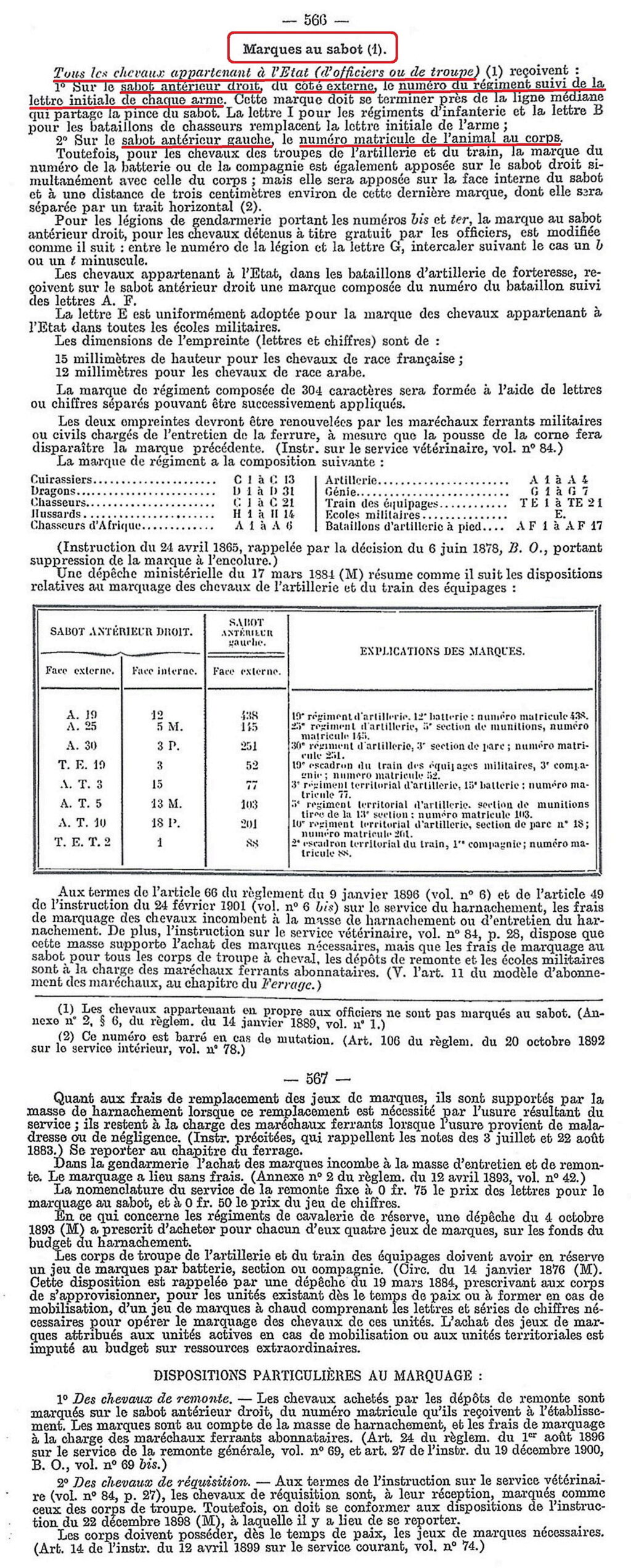 Marquage des chevaux appartenant à l'état Marqua43