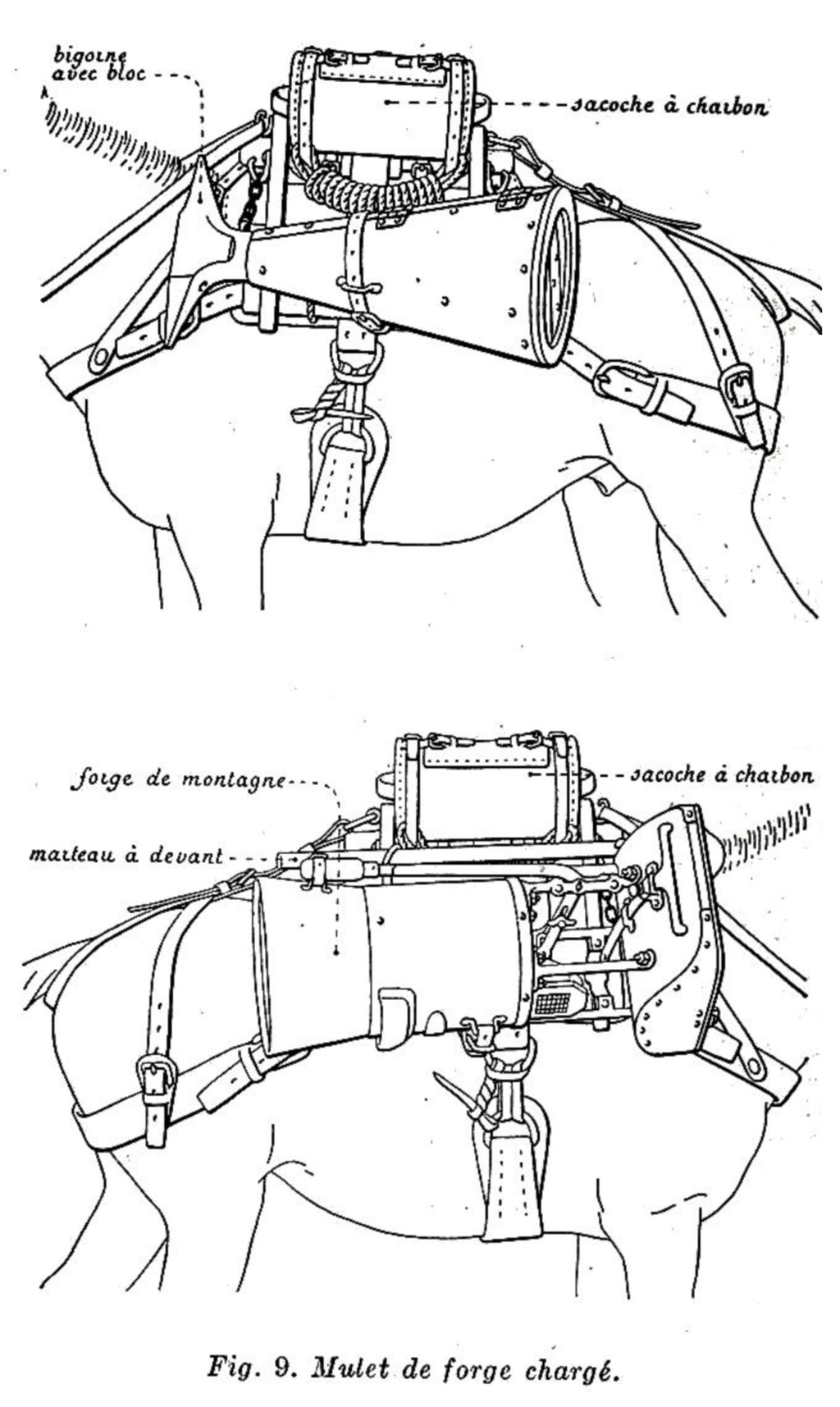 Sacoches et outils des maréchaux ferrants de l'armée (Cavalerie et artillerie)  - Page 3 Minist17