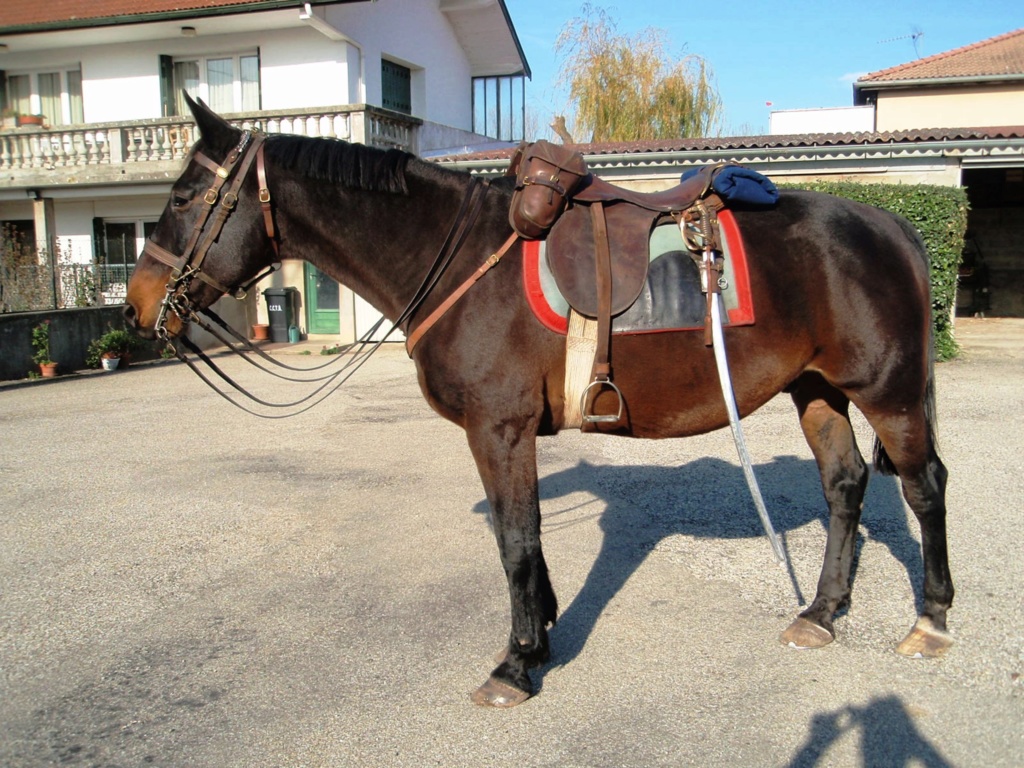 Le pliage du manteau de cavalerie  Pb200610