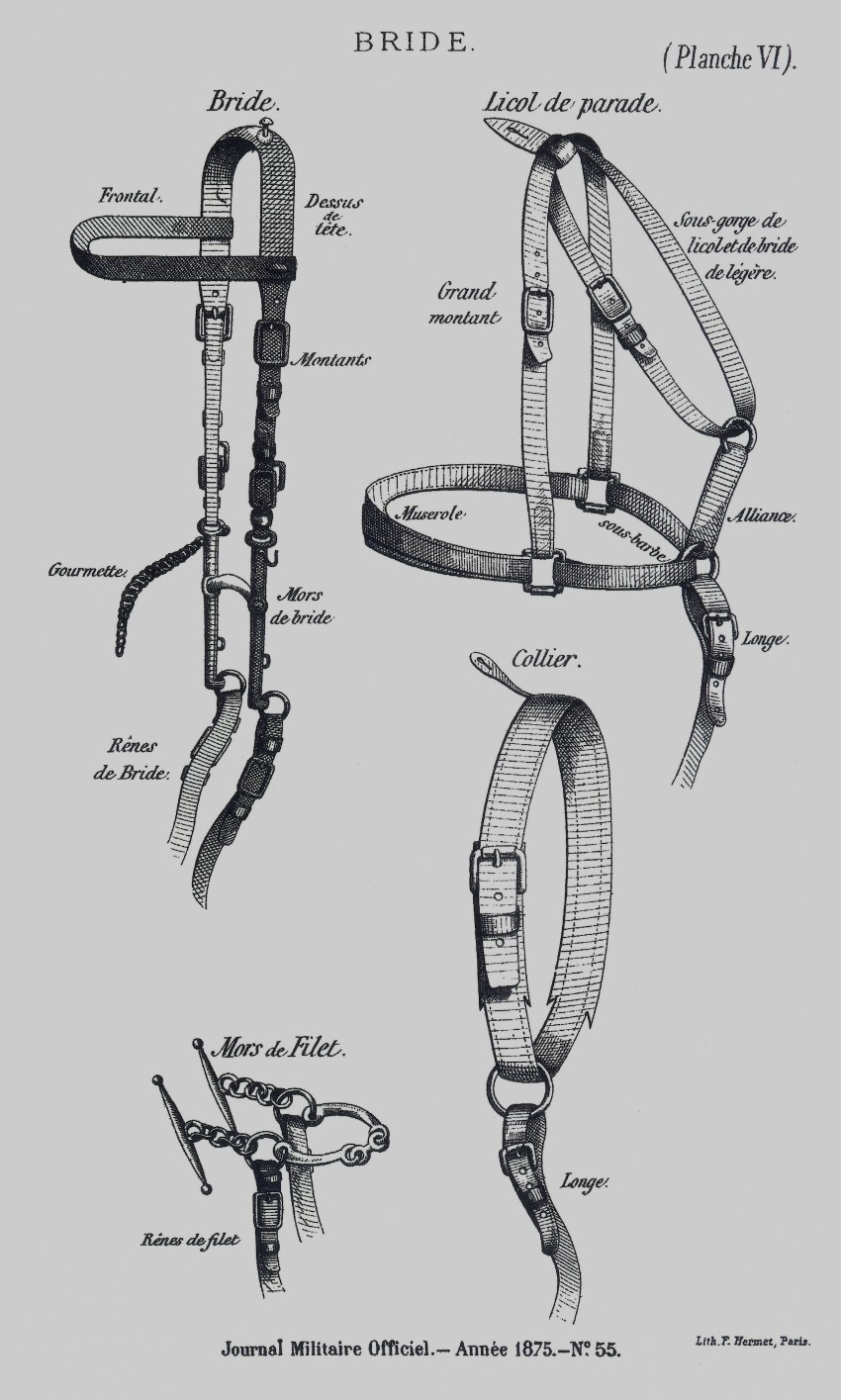 La selle de cavalerie modèle 1874 et ses déclinaisons  Planch21