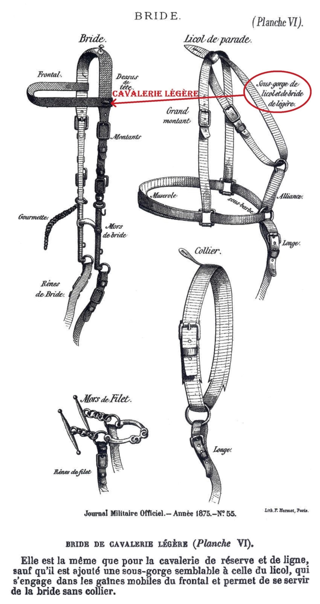 La selle de cavalerie modèle 1874 et ses déclinaisons  Planch22