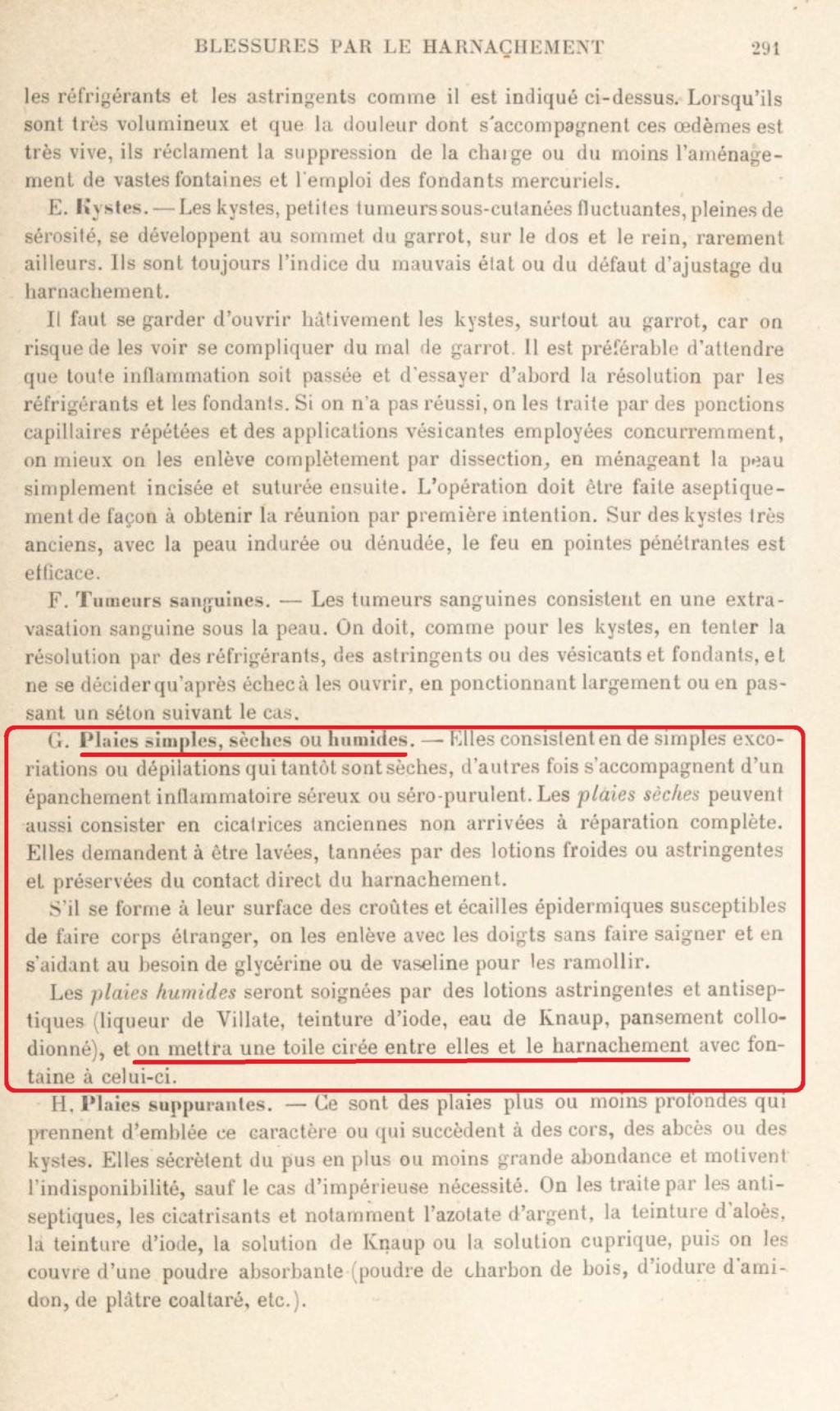 Les couvertures de cavalerie (légère et lourde)   Toile_19