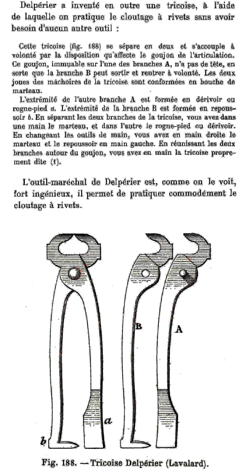 Sacoches et outils des maréchaux ferrants de l'armée (Cavalerie et artillerie)  - Page 2 Tricoi10