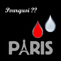 Pensée pour Paris Paris10