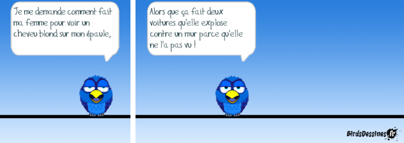 Quelques Birds ? 14499510