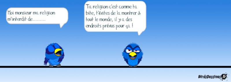 Quelques Birds ? 14500410