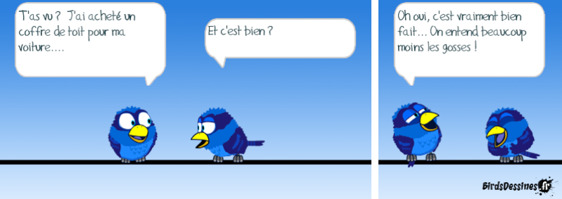 Quelques Birds ? 14502110