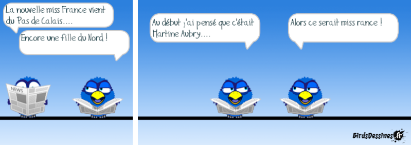 Quelques Birds ? 14506310