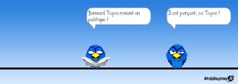 Quelques Birds ? 14506810