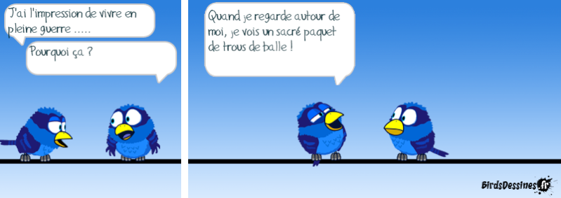 Quelques Birds ? 14507311