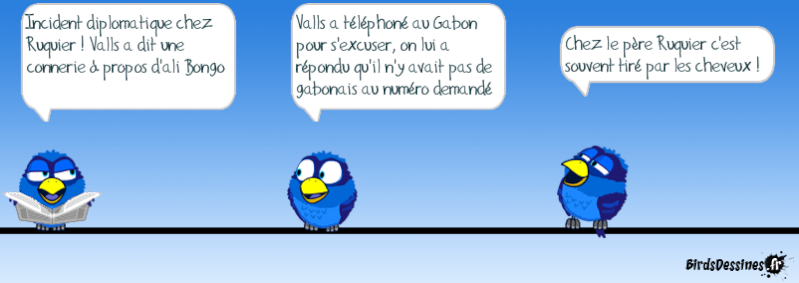 Quelques Birds ? 14532110