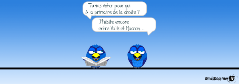 Quelques Birds ? 14532713