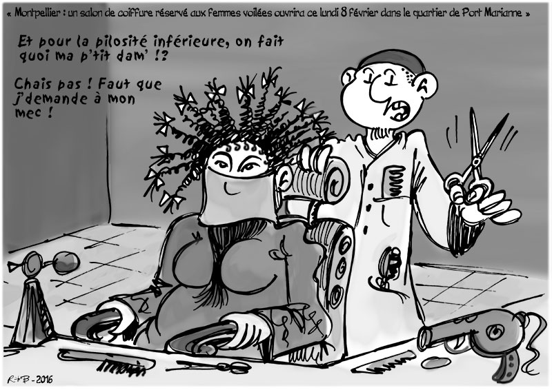 Actu en dessins de presse - Attention: Quelques minutes pour télécharger - Page 6 Coiffu10