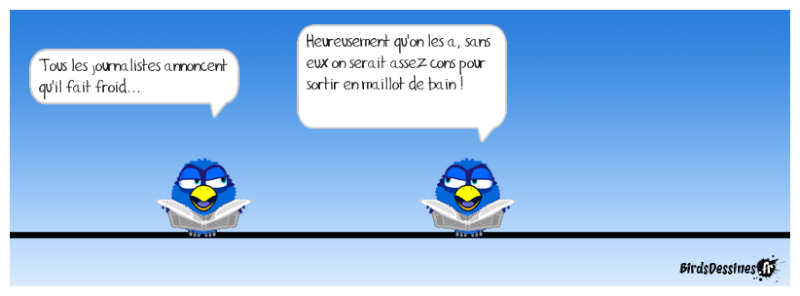 Quelques Birds ? Gavera11