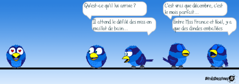 Quelques Birds ? Wpid-w13