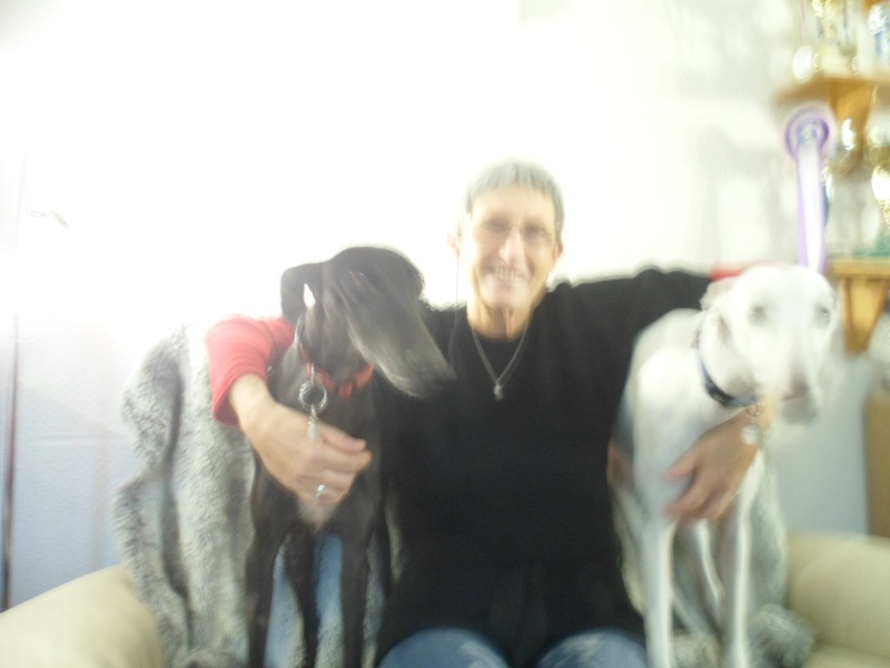 Calimera, galga petite taille, noire, 8 ans.Adopté - Page 2 Calime12