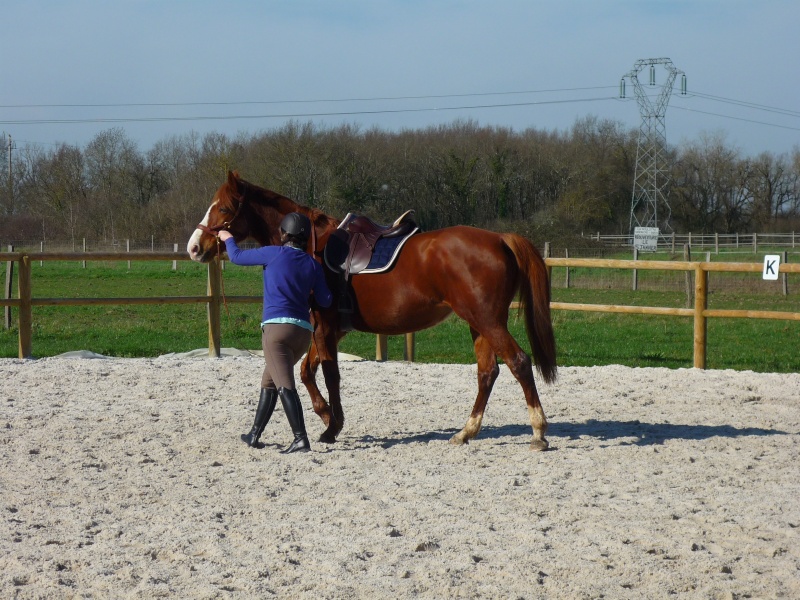 Abellina , TF 3 ans, adoptée par Helened - Page 9 P1090211