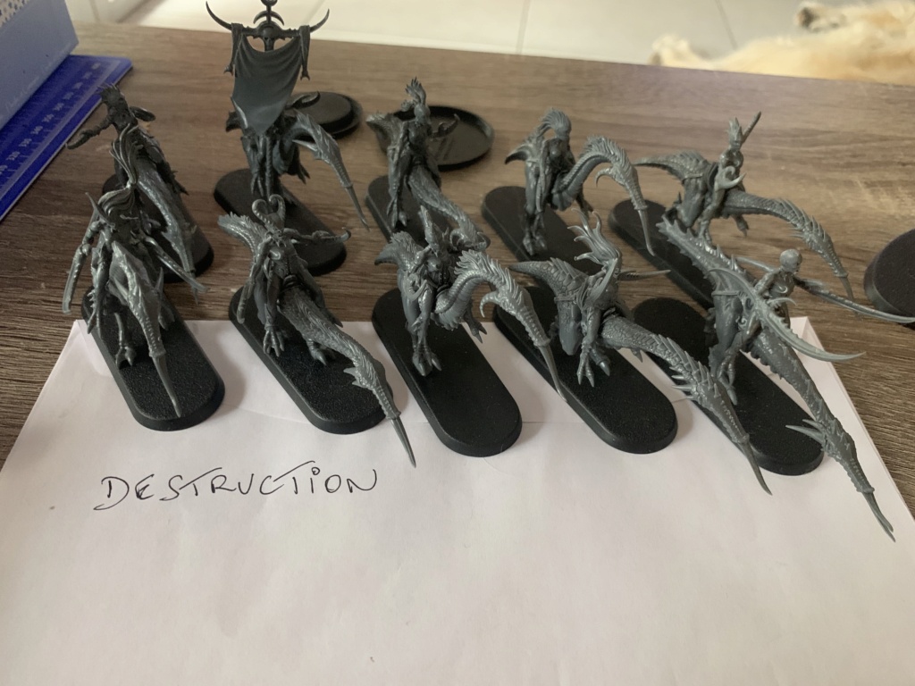 [FINI][Skullbred/Chaos] Veneuses de Slaanesh 175pts 3957aa10