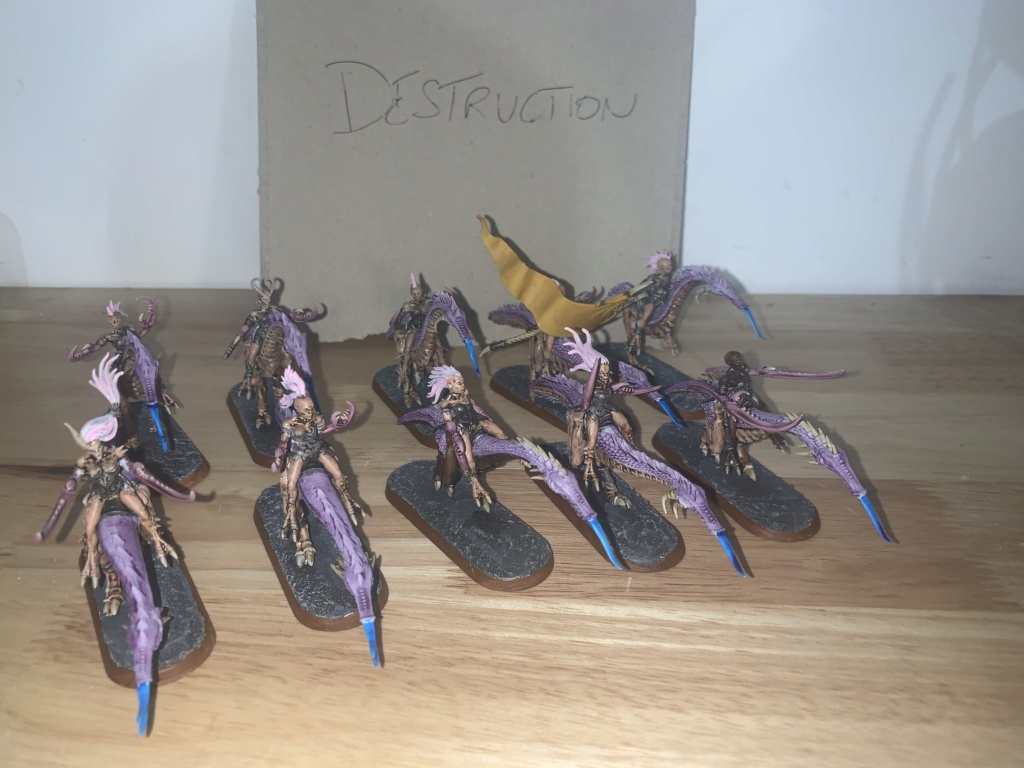 [FINI][Skullbred/Chaos] Veneuses de Slaanesh 175pts 5847f310