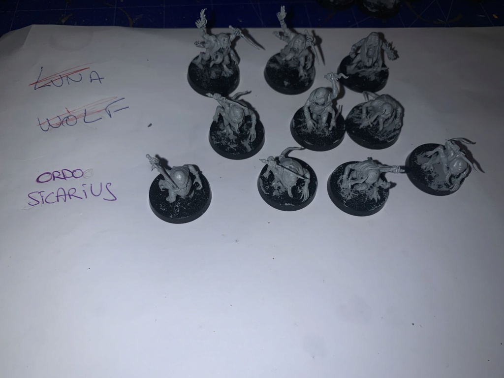 [Fini][Skullbred/Chaos] Horreurs Bleues 280pts Img_7716