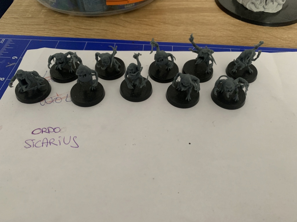 [Fini][Skullbred/Chaos] Horreurs Bleues 280pts Img_8110