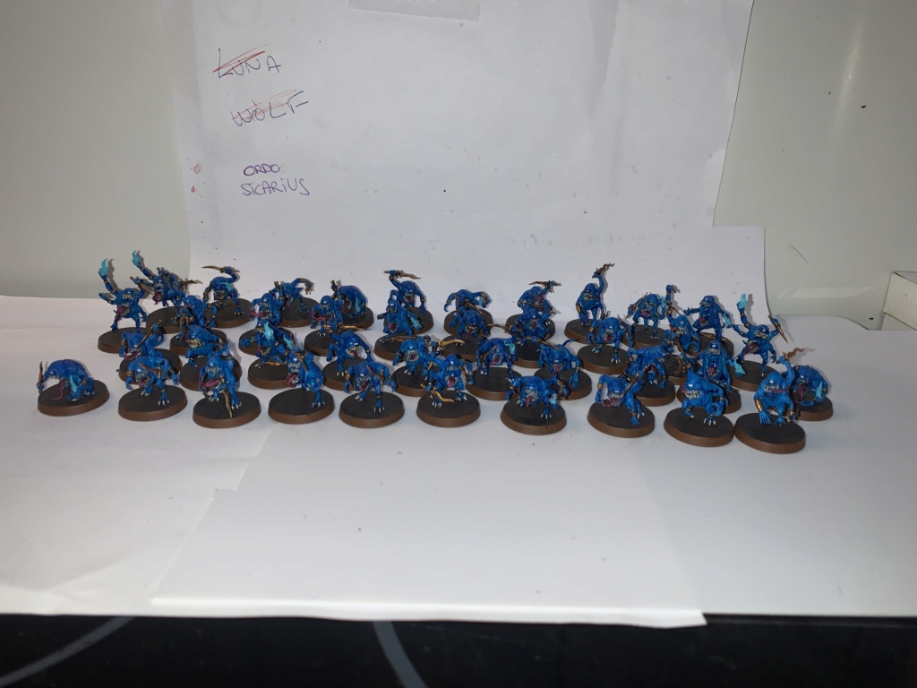 [Fini][Skullbred/Chaos] Horreurs Bleues 280pts Img_8119