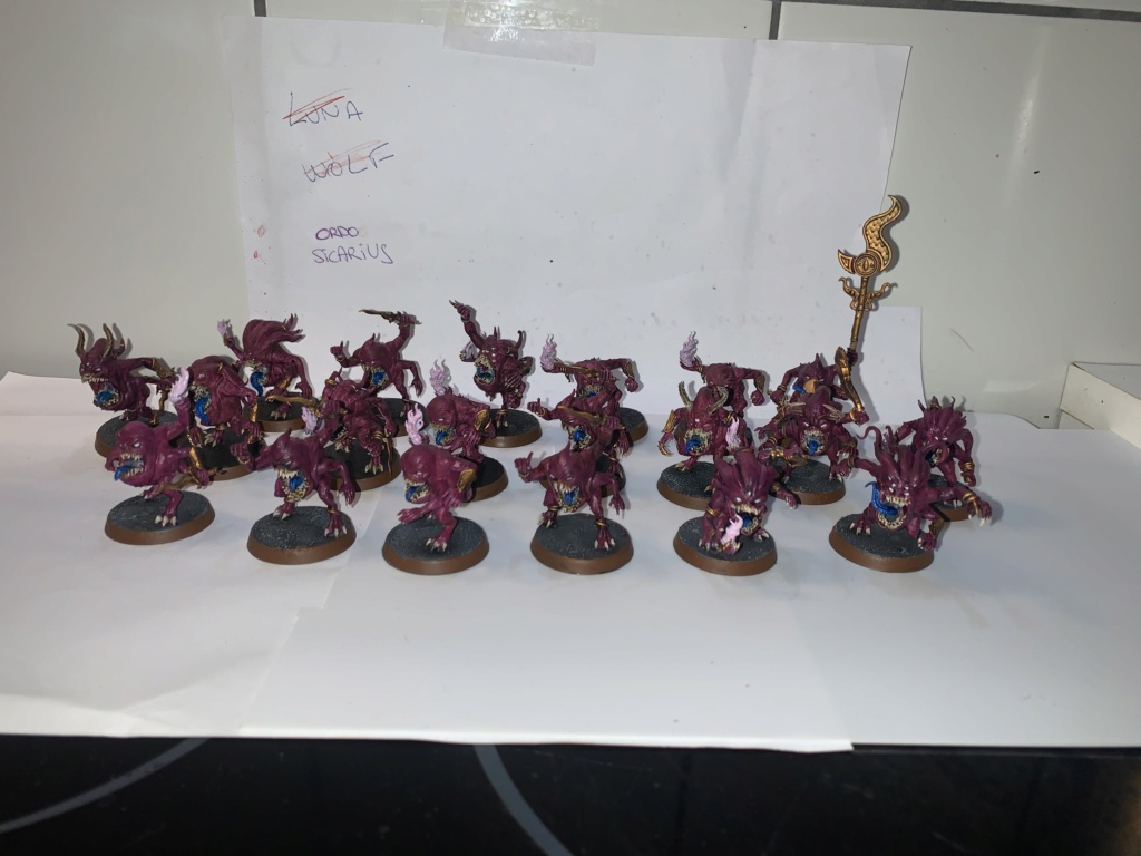 [Fini][Skullbred/Chaos] Horreurs Roses 280pts Img_8120