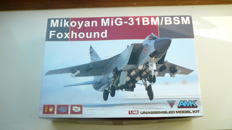 MIG31 BM Foxhound - [AMK] 1/48 P1190351