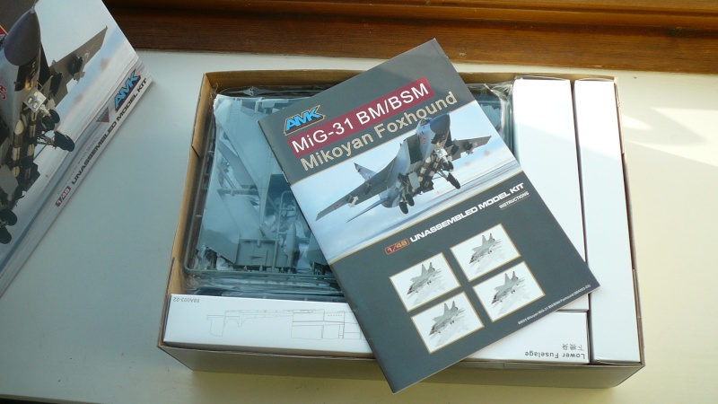 MIG31 BM Foxhound - [AMK] 1/48 P1190352