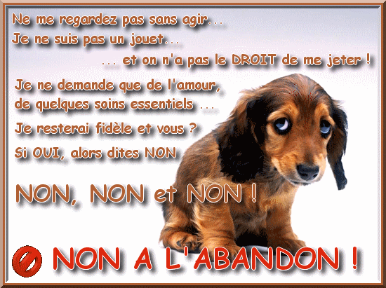 chiens-chats.forumactif