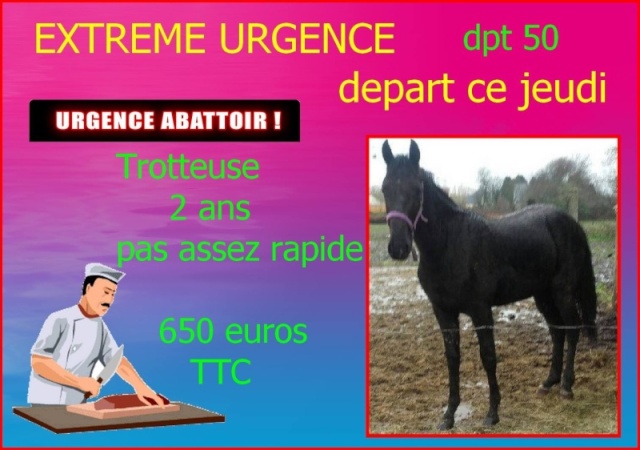 dpt 50 , depart jeudi trotteuse de 2 ans  21110