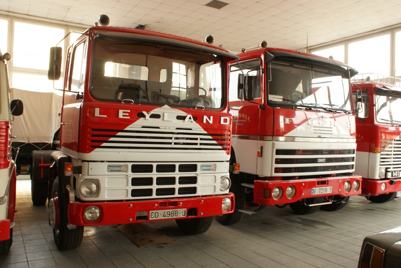 Bedford et Leyland - Page 2 Dsc09910