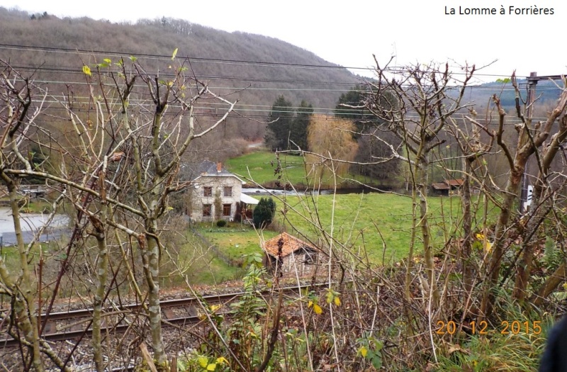 Sortie timide du 20/12/15, pour se débouer Dscn2848