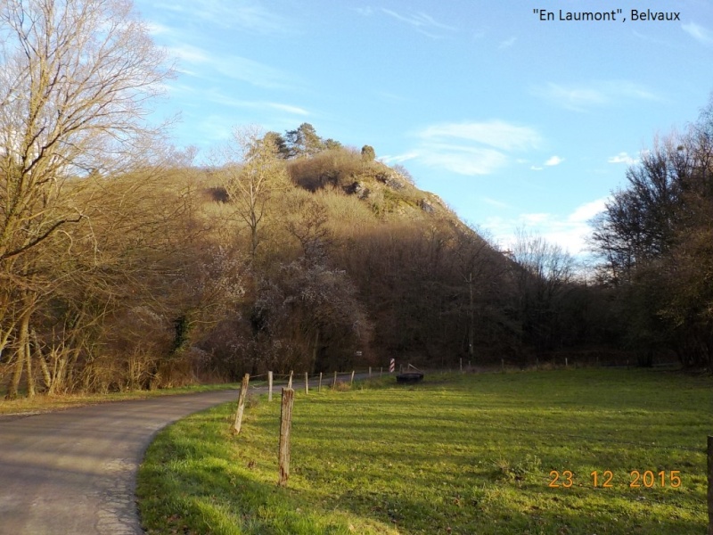 A la recherche des rennes du Père Noël, le 23/12/15... Dscn3014