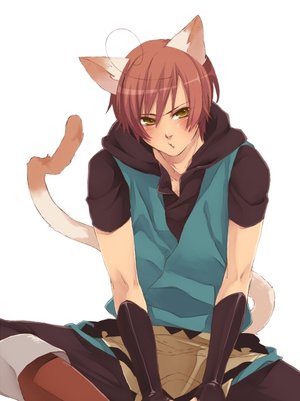 Rassen von Ricrad Neko_r10