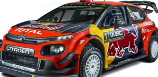 Citroen Total Abu Dhabi WRT Citroe10