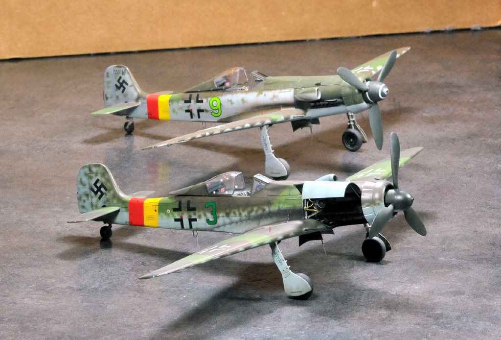 Montages en parallèle, 2 Focke Wulf Ta 152 H, Rom1 et André-François - Page 11 Dsc_3111