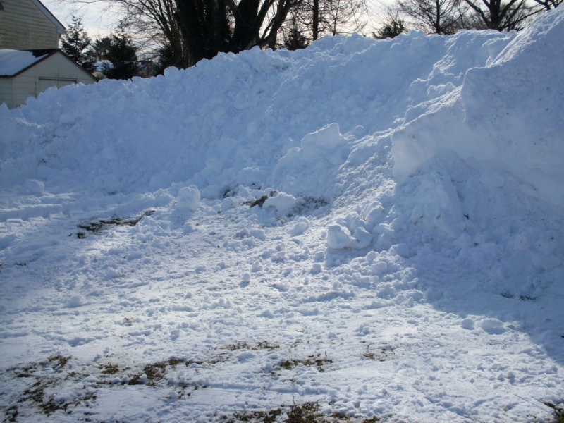 Holy snow Batman! - Page 4 2016_s12