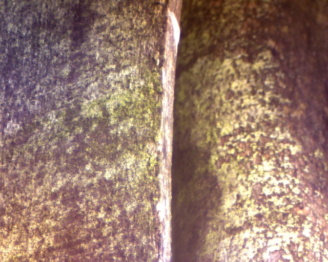 CCD DIY Image410