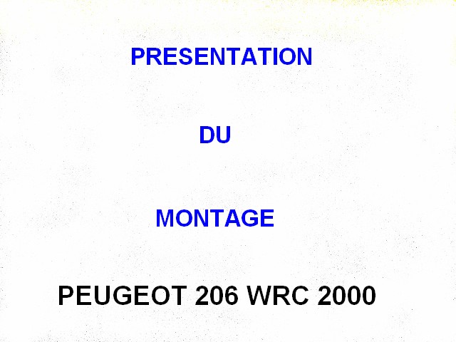 PEUGEOT 206 WRC 2000 Réf 80708 206wrc10