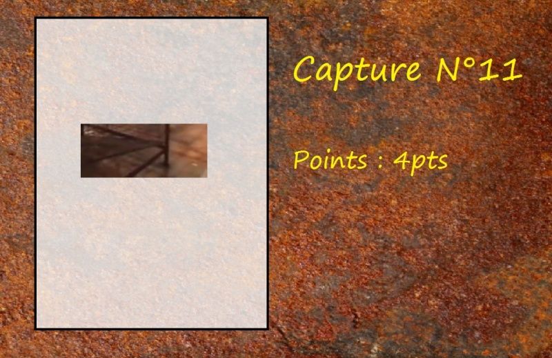 La Capture d'Image - Jeu à durée indéterminée - Page 2 Capt1110