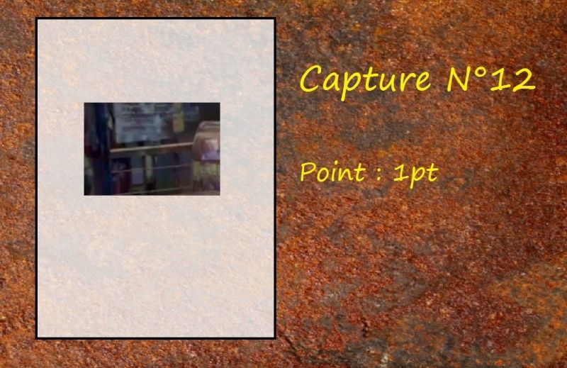 La Capture d'Image - Jeu à durée indéterminée - Page 3 Capt1210